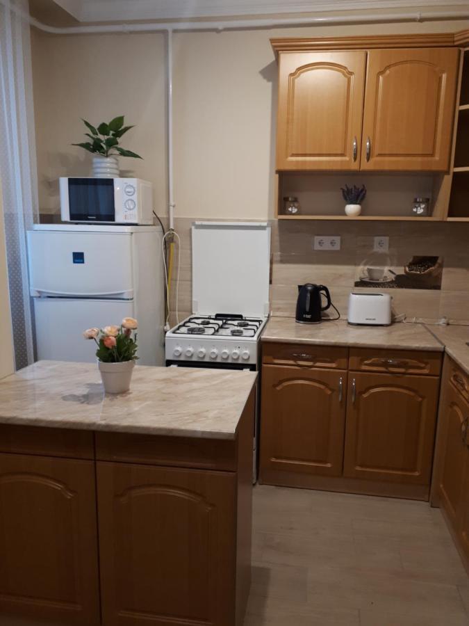 Katalin Apartman ไฮจ์ดุสโซบอสโล ภายนอก รูปภาพ